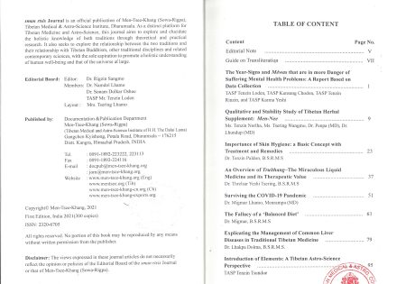 sman rtsis journal1